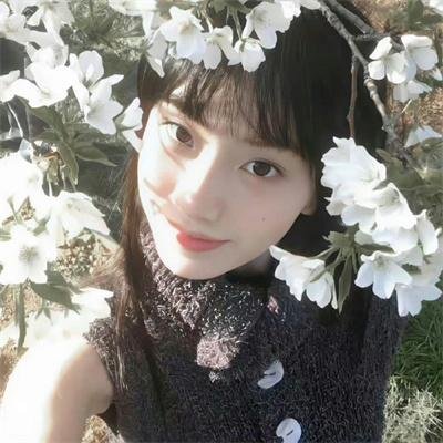 精灵小王子