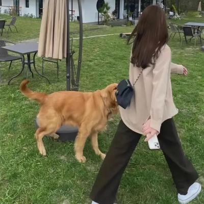 意外的爱情